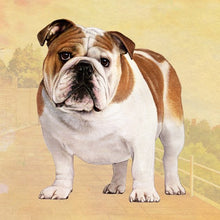 Load image into Gallery viewer, Pet Coasters
