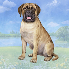 Load image into Gallery viewer, Pet Coasters