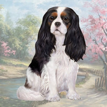 Load image into Gallery viewer, Pet Coasters