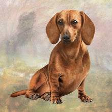 Load image into Gallery viewer, Pet Coasters