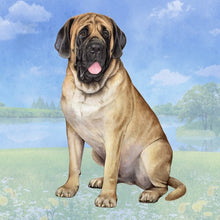 Load image into Gallery viewer, Pet Coasters
