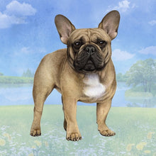 Load image into Gallery viewer, Pet Coasters