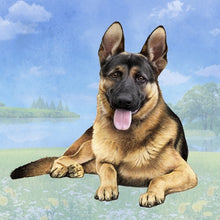 Load image into Gallery viewer, Pet Coasters
