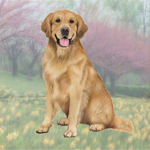 Load image into Gallery viewer, Pet Coasters