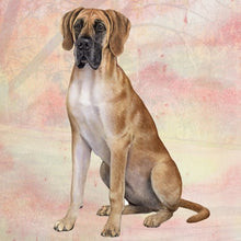 Load image into Gallery viewer, Pet Coasters