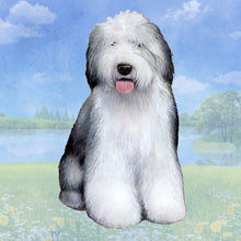 Load image into Gallery viewer, Pet Coasters