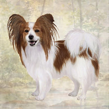 Load image into Gallery viewer, Pet Coasters