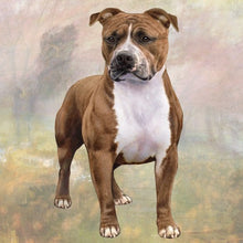 Load image into Gallery viewer, Pet Coasters