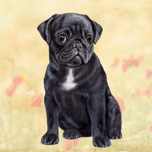Load image into Gallery viewer, Pet Coasters
