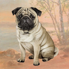 Load image into Gallery viewer, Pet Coasters