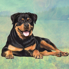 Load image into Gallery viewer, Pet Coasters