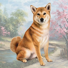 Load image into Gallery viewer, Pet Coasters