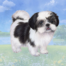 Load image into Gallery viewer, Pet Coasters