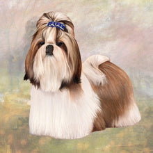 Load image into Gallery viewer, Pet Coasters