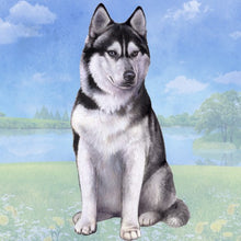 Load image into Gallery viewer, Pet Coasters