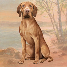 Load image into Gallery viewer, Pet Coasters