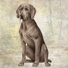 Load image into Gallery viewer, Pet Coasters