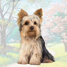 Load image into Gallery viewer, Pet Coasters