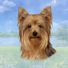 Load image into Gallery viewer, Pet Coasters