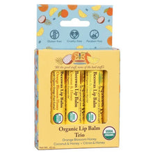 Load image into Gallery viewer, 3 Pack Organic Lip Balm Gift Set
