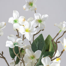 Load image into Gallery viewer, Dogwood Bouquet
