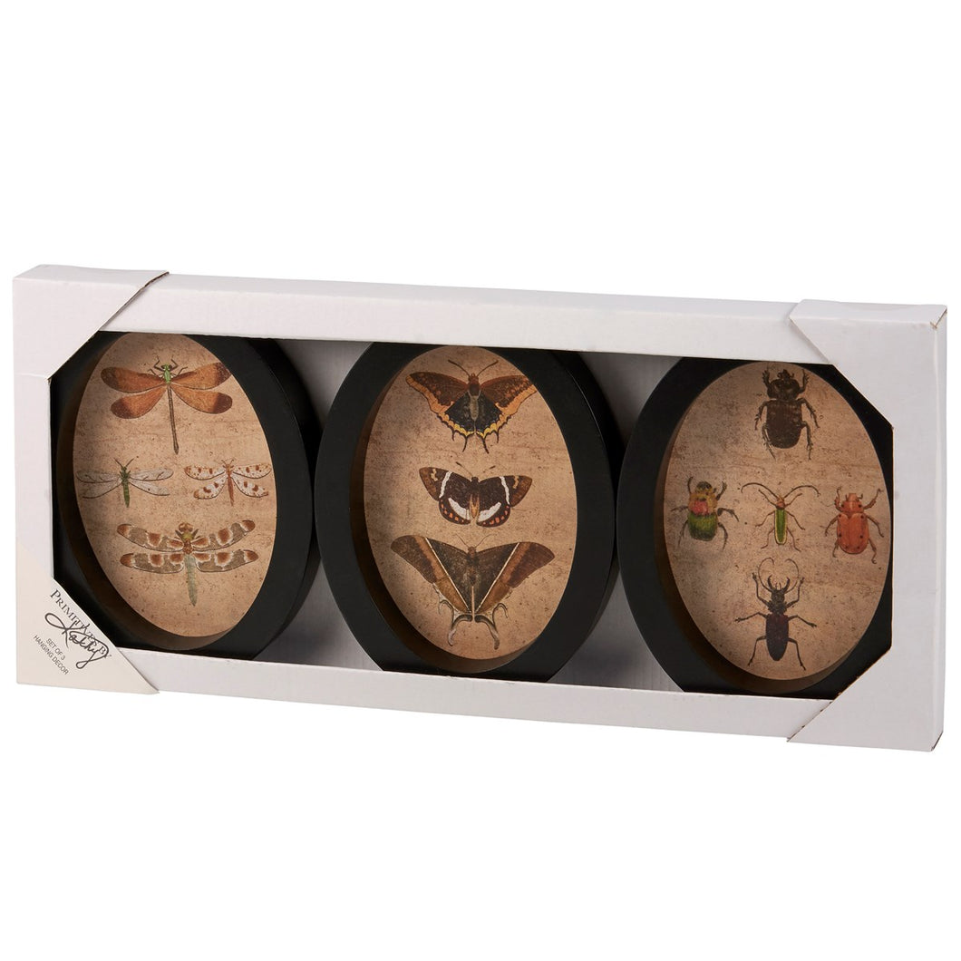 Insect Study Set