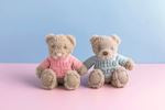 Load image into Gallery viewer, Little Sibling Bear
