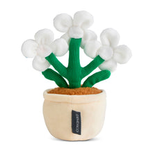 Load image into Gallery viewer, Birthday Flowers
