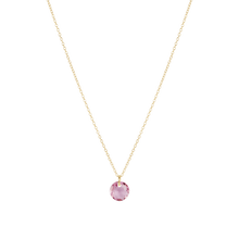 Load image into Gallery viewer, Enewton Reflection Small Charm Necklace
