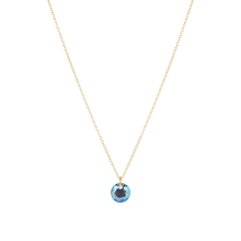 Load image into Gallery viewer, Enewton Reflection Small Charm Necklace
