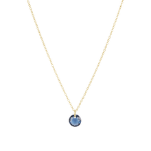 Load image into Gallery viewer, Enewton Reflection Small Charm Necklace
