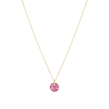 Load image into Gallery viewer, Enewton Reflection Small Charm Necklace
