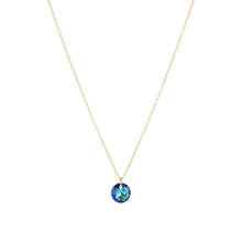 Load image into Gallery viewer, Enewton Reflection Small Charm Necklace

