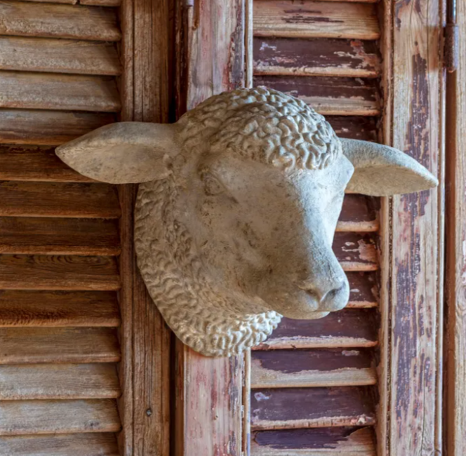 Decorative Sheep's Head
