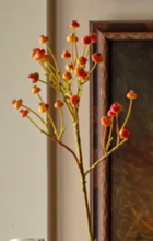 Load image into Gallery viewer, Wild Rose Hip
