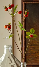 Load image into Gallery viewer, Rose Hip Stem
