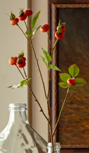 Rose Hip Stem