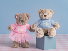 Load image into Gallery viewer, Hi Bear Plush
