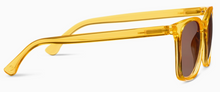 Load image into Gallery viewer, Mateo Bifocal Sunglasses
