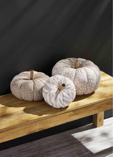Load image into Gallery viewer, Animal Print Pumpkin Sitter
