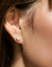 Load image into Gallery viewer, Sparkly Clover Stud Earrings Set
