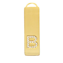 Load image into Gallery viewer, Initial Bar Necklace
