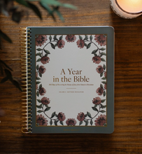 Load image into Gallery viewer, A Year In The Bible - Vol. 4
