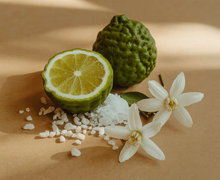 Load image into Gallery viewer, Pura Sea Salt Driftwood
