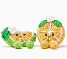 Load image into Gallery viewer, Zesty Besties Crochet Kit

