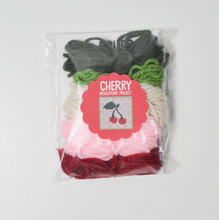 Load image into Gallery viewer, Cherry Needlepoint Kit
