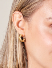Load image into Gallery viewer, Classic Hoop Earring Set
