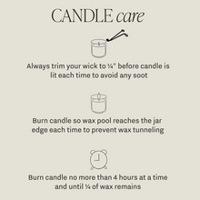 Load image into Gallery viewer, She Did Candle
