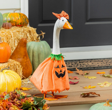 Load image into Gallery viewer, Porch Goose Outfits
