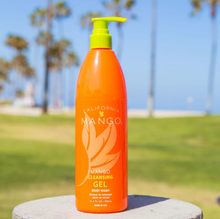 Load image into Gallery viewer, Mango Cleansing Gel
